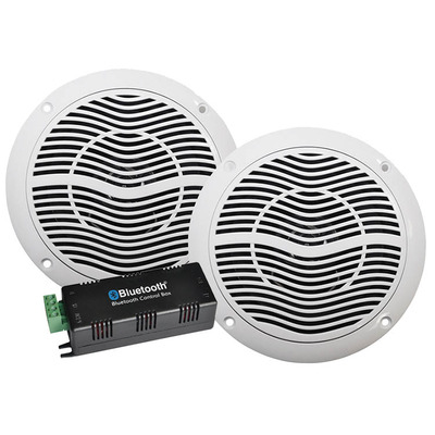 5" Bluetooth Ceiling Speaker (1 Pair)