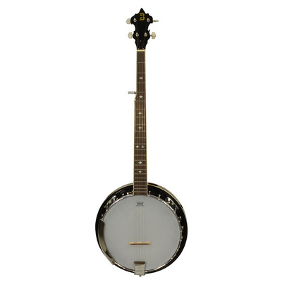 5 String Banjo with Remo Head from Bryce Music