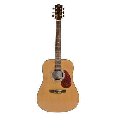 Bryce BFG-088S Acoustic Guitar