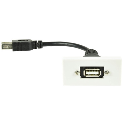 USB2.0 Type-A Socket to Female Tail Module Wall Plate