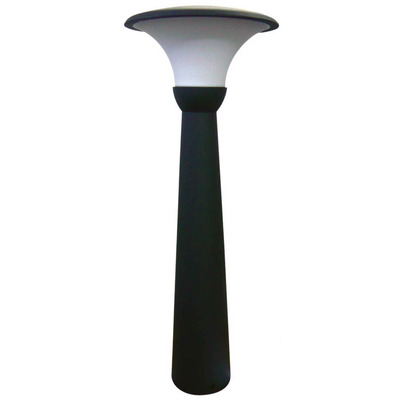 Anthracite Tall Garden LED Post Light 12V