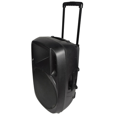 15" Portable PA System with High Impact Moulded Cabinet