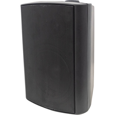 100 Volt Background Speaker (Pair) - 6.5" Black